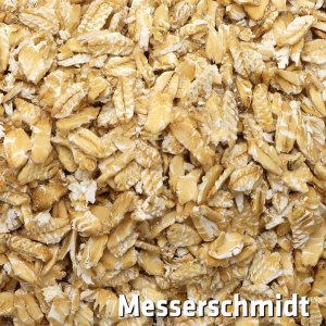 Bild 1 zu Artikel Vario-Flocker für Bosch MUM4 / UM4 